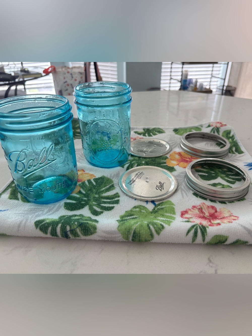Wide Mouth Blue Glass Mason Jars with Lids - Set for Home Dining